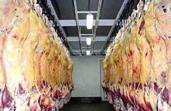 FRIBARREIRAS AGRO INDUSTRIAL DE ALIMENTOS LTDA - Foto 1
