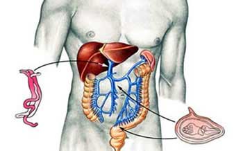 Ronaldo Dutra Fonseca - Foto 1