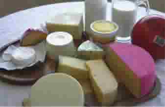 Lactolem Industria e Comercio de laticinios Ltda - Foto 1