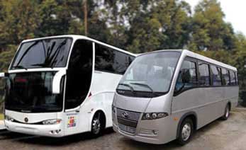 Transdeiel Transportes Com e Rep Ltda - Foto 1