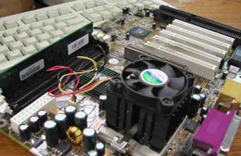 José Robson da Silva - Foto 1