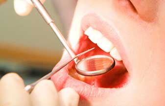 Maria C. M. Amorim - Foto 1