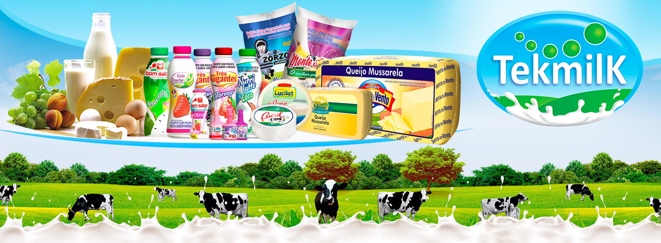 Tekmilk - Foto 3