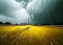 alerta amarelo de tempestade