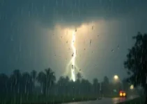 pancadas fortes e rápidas