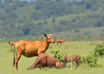 Últimas notícias de Barreiras