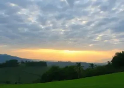 Últimas notícias de Barreiras
