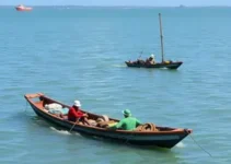 Governo investe na pesca e meio ambiente