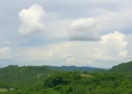 Últimas notícias de Barreiras