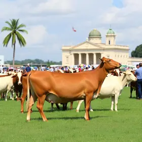 Fórum de Pecuária da Bahia