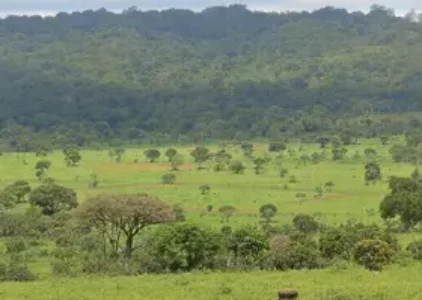 Últimas notícias de Barreiras