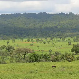 Cerrado e El Niño
