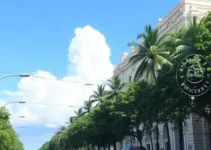 trânsito em Salvador