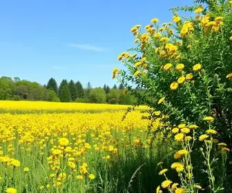 Setembro Amarelo