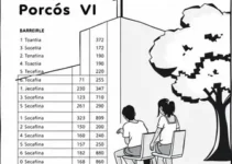 votação no Colégio Padre Vieira