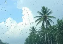 previsão do tempo